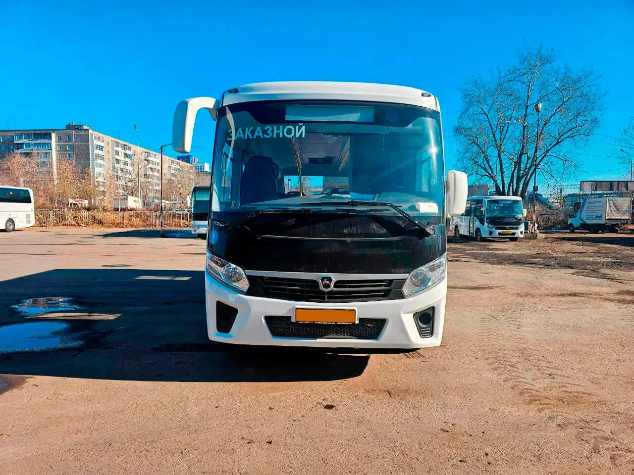ПАЗ Вектор Next на 30 мест в аренду